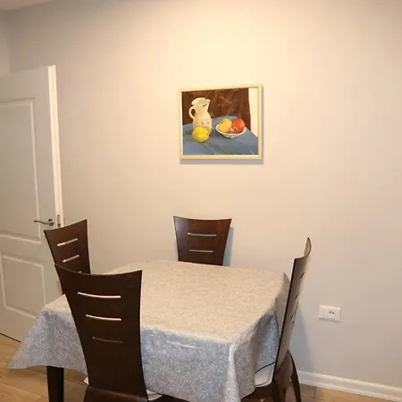 Gray House Apartment Tirana